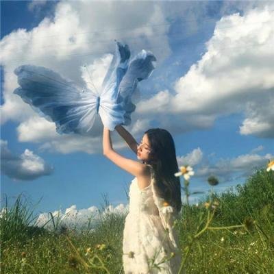 飞机总动员2:打火英雄